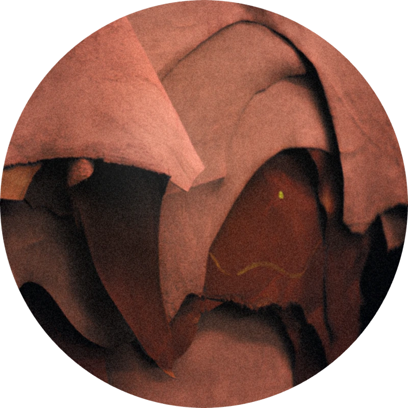 Apo Patchone Coeur