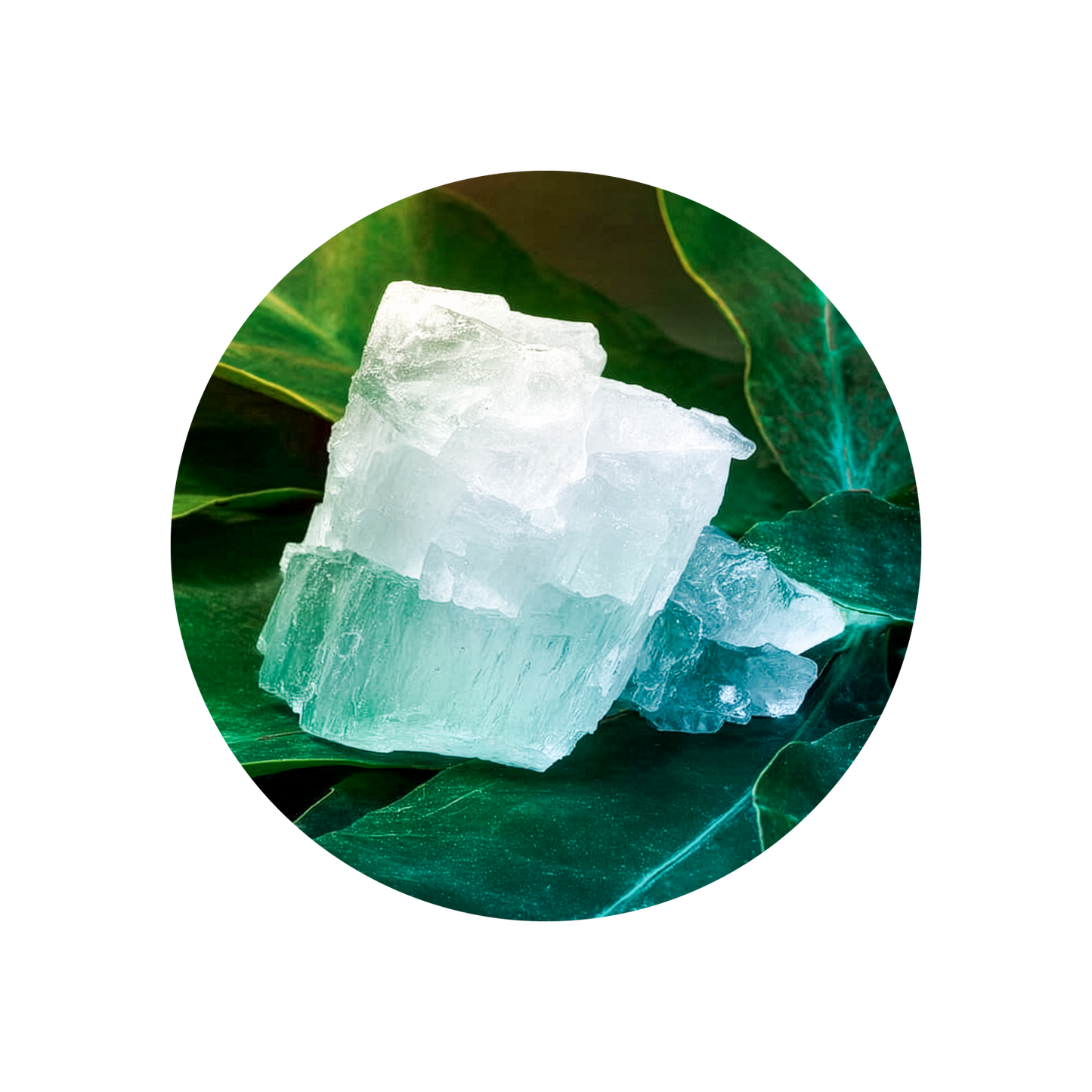Camphor