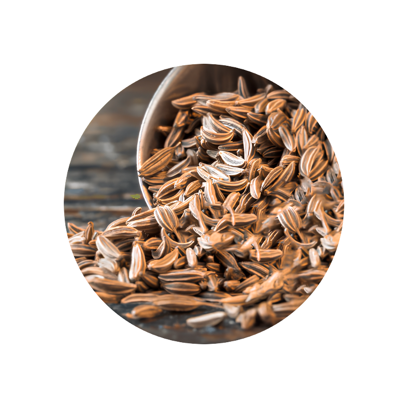 Caraway Oil (kminek pospolity)