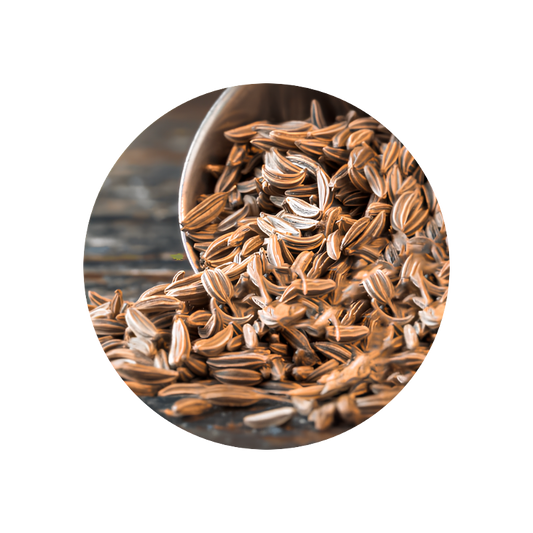Caraway Oil (kminek pospolity)
