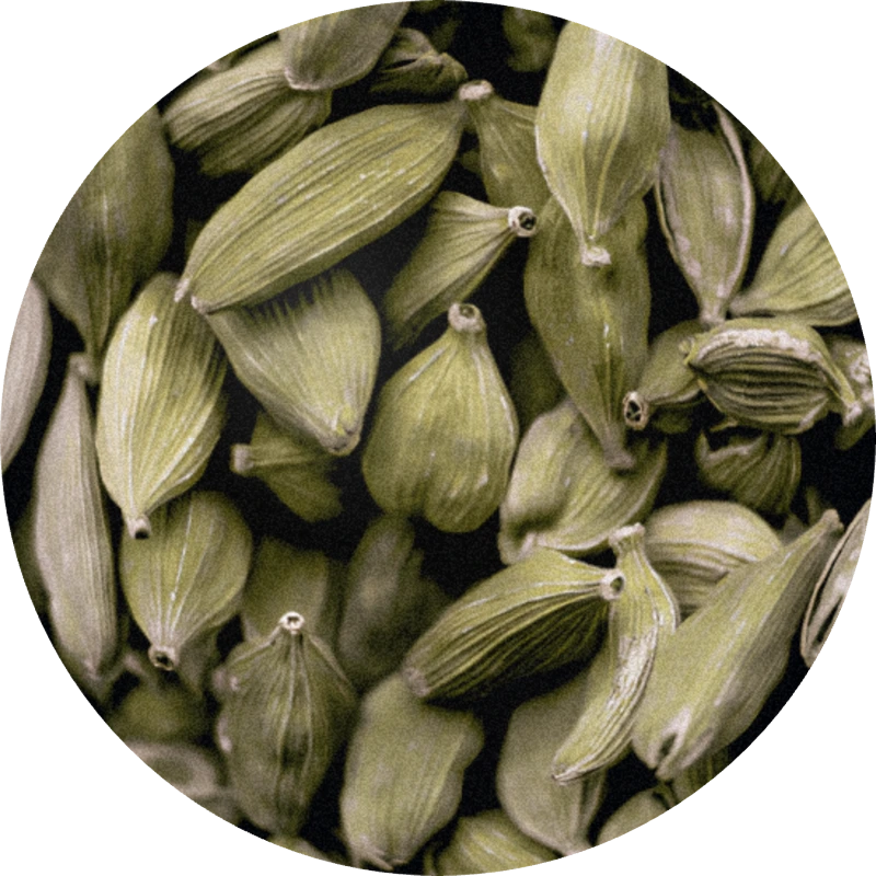 Cardamom Oil (Guatemala)