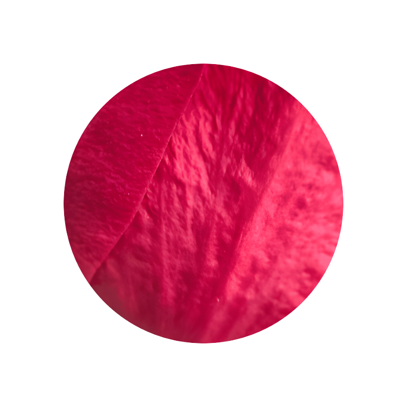 Citronellol 950