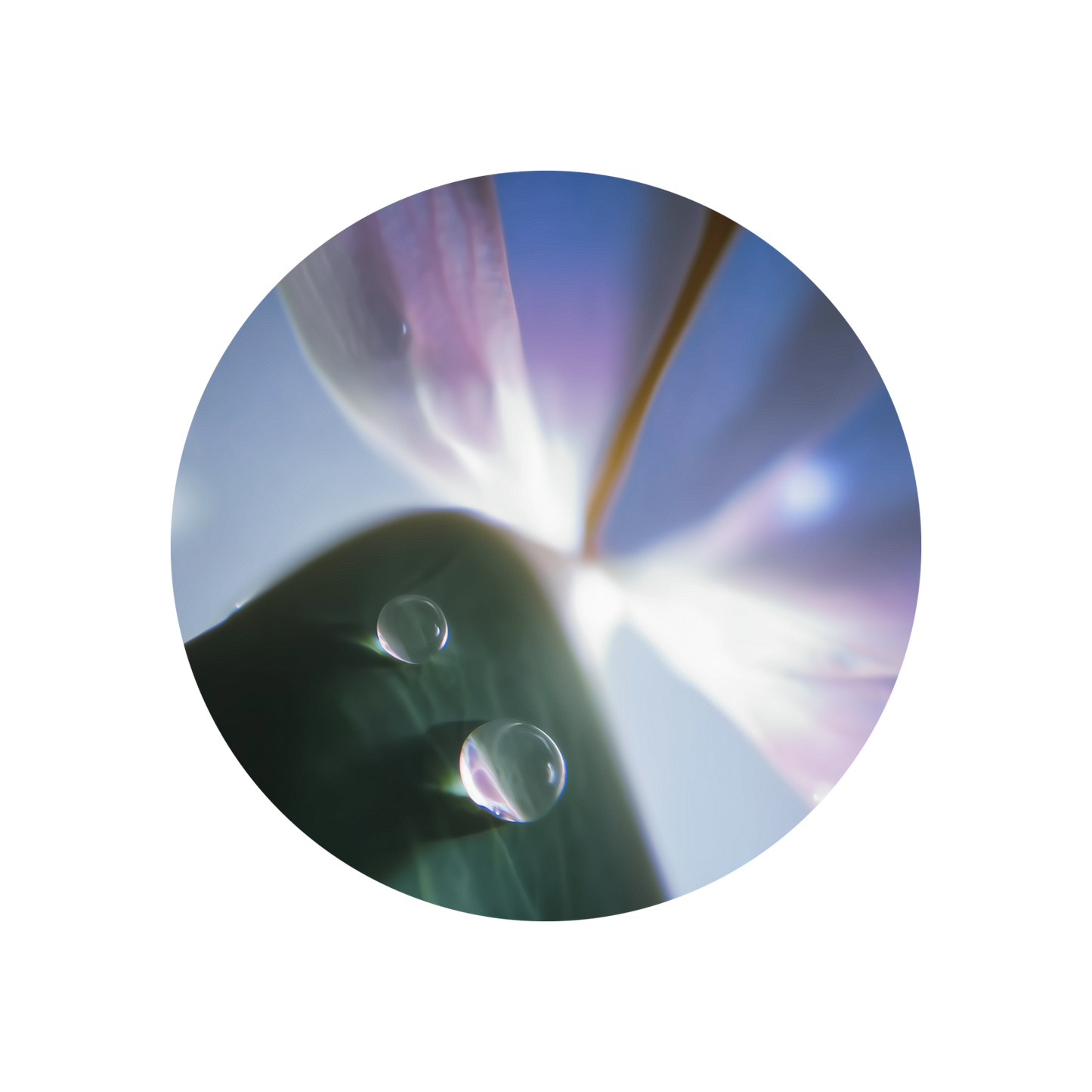 Cyclamen Aldehyde Extra