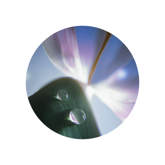 Cyclamen Aldehyde Extra