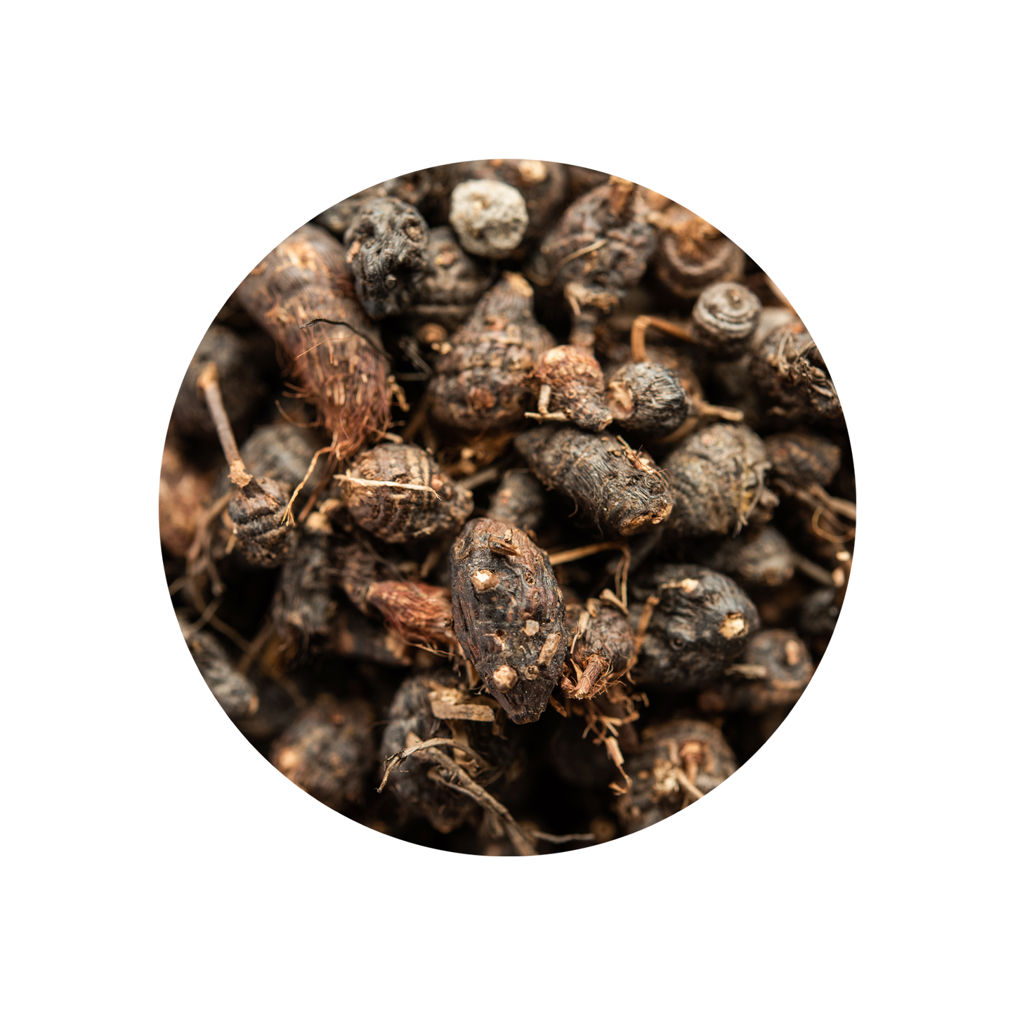 Cypriol Oil