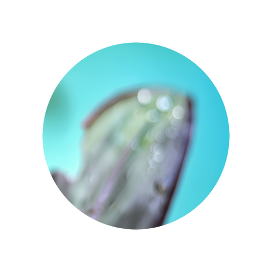 Floralozone®