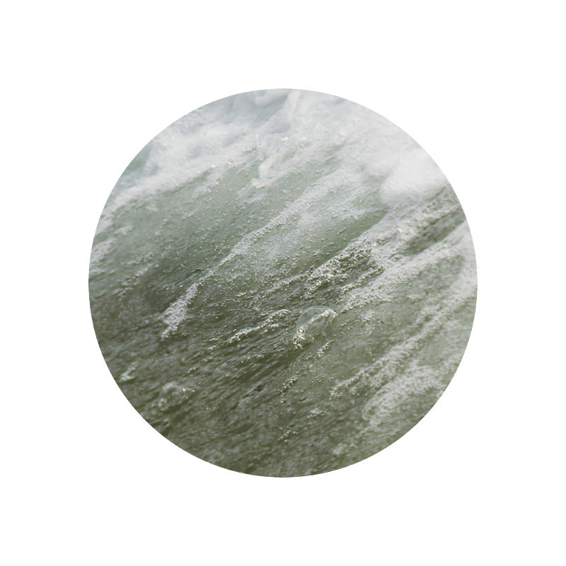 Maritima