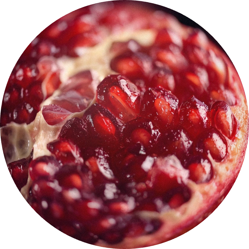 Pomegranate Bold Base