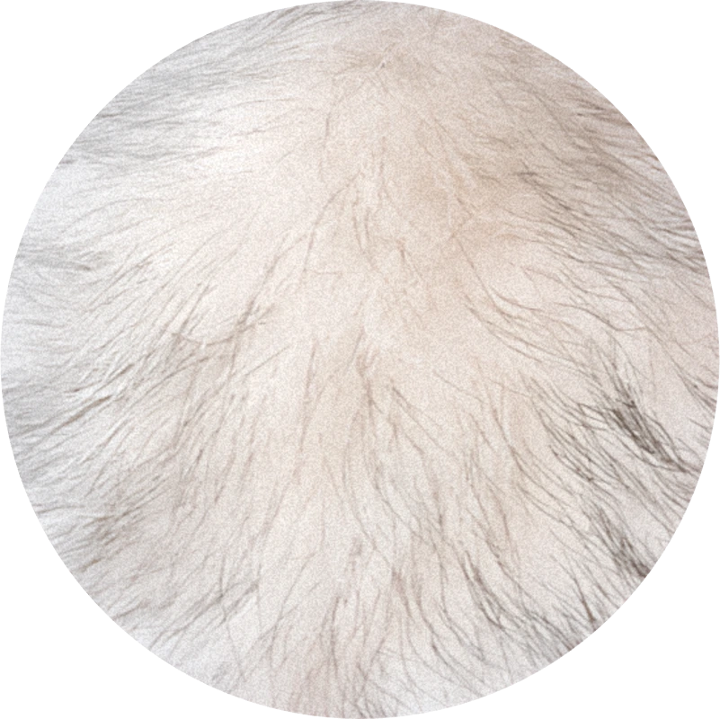 Velvione™