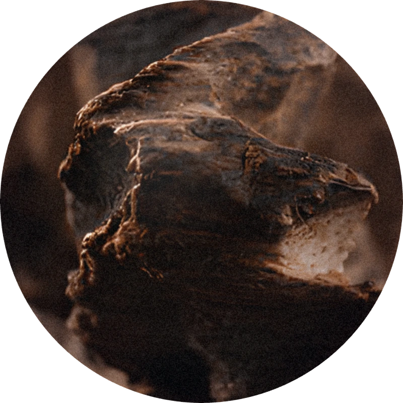 Black Agar 296985