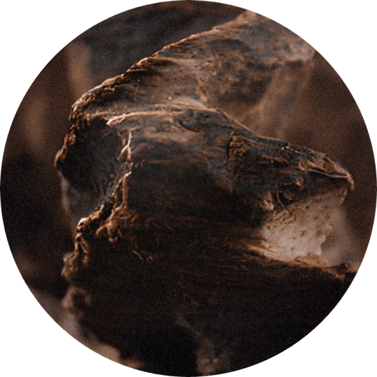Black Agar 296985