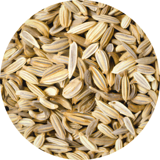 Cumin Oil