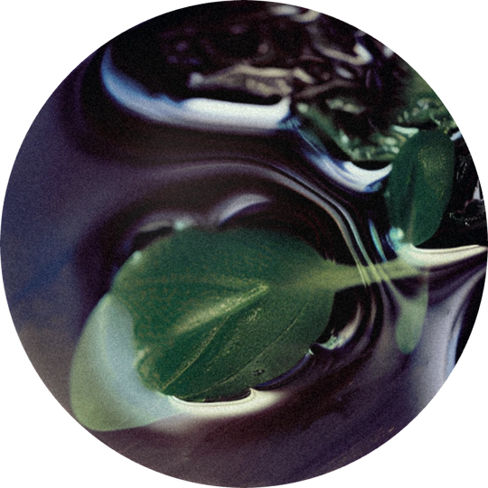 Habanene