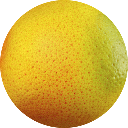Amarocit (Methyl Pamplemousse)
