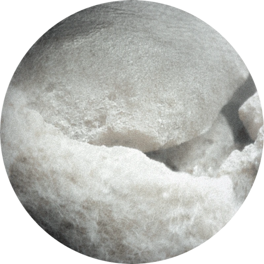 Ambrinol S