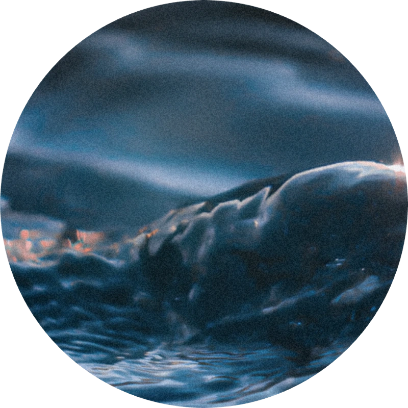 Ambrox DL