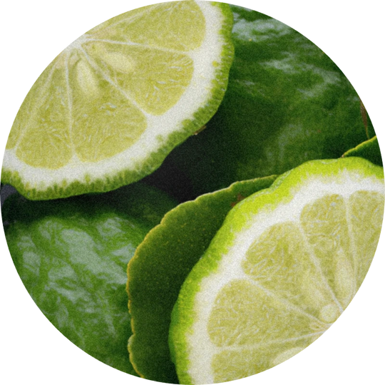 Bergamot Oil Cold Pressed
