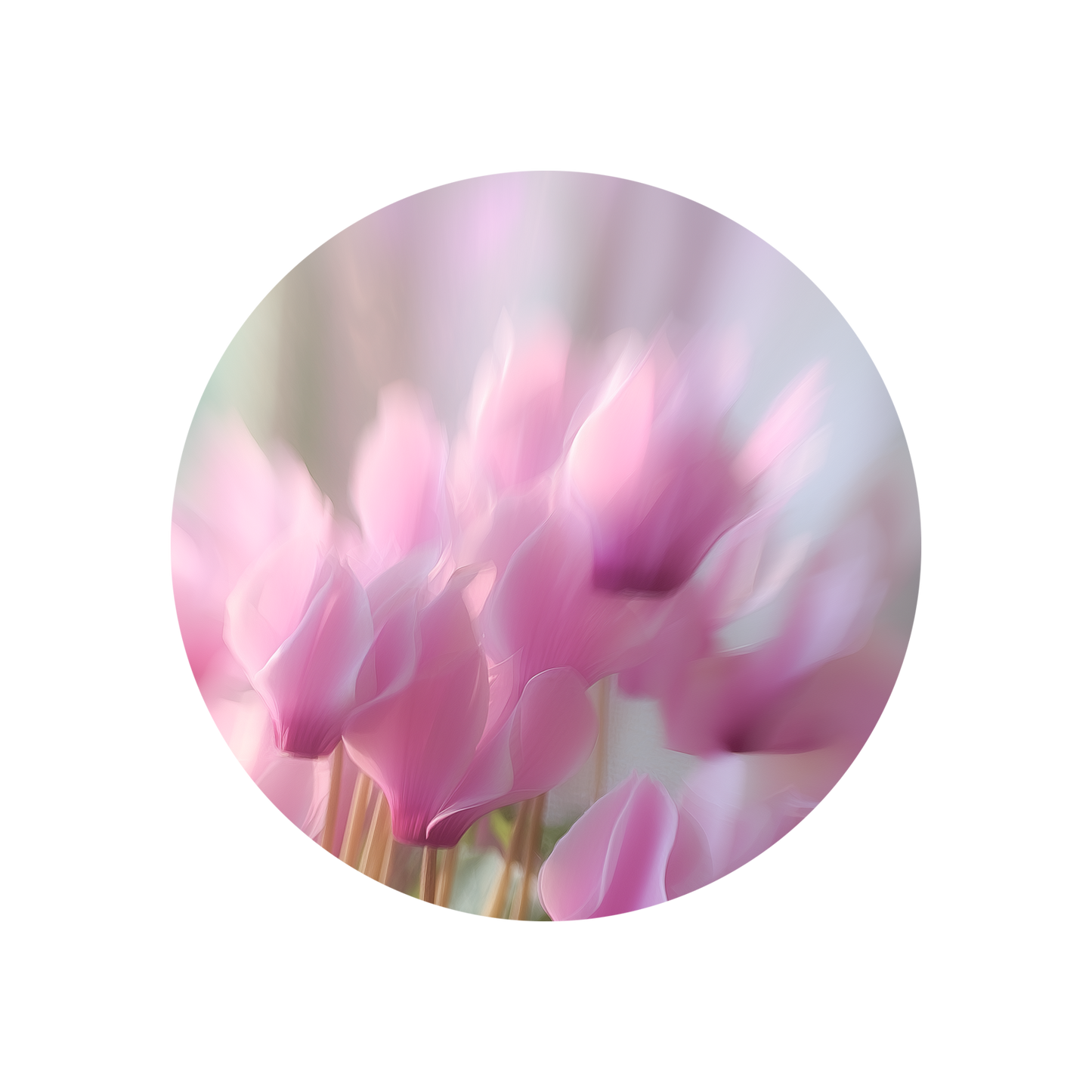 Biocyclamol®