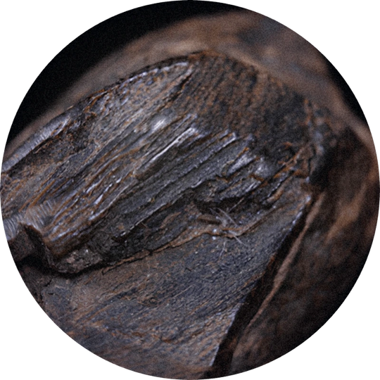 Black Agar Givco® 215/2
