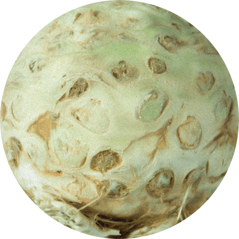 Buccoxime (proszek)
