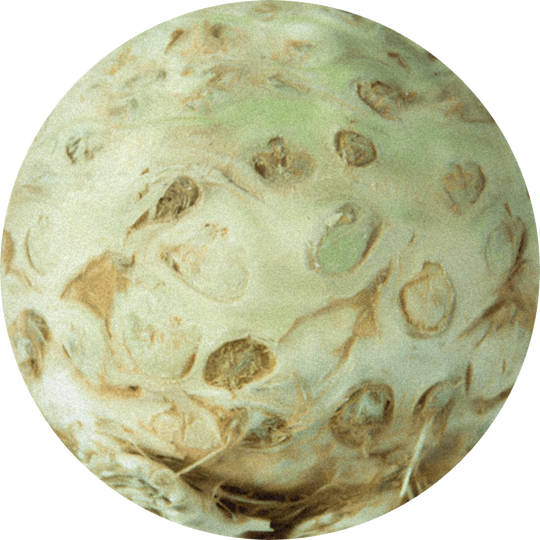 Buccoxime (proszek)