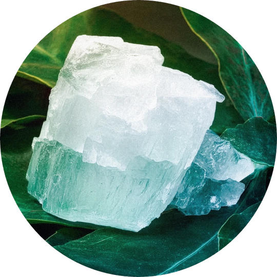 Camphor