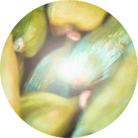 Cardamom Aldehyde 10% (DPG)
