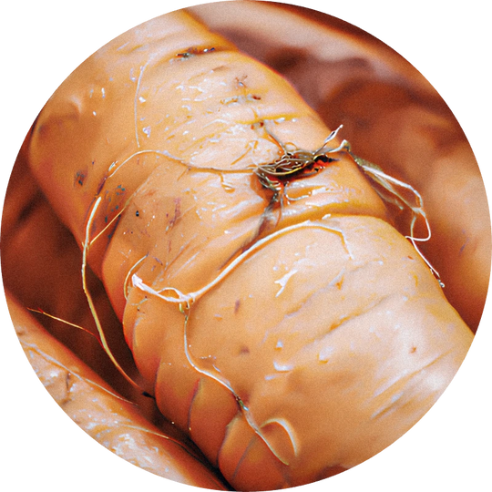 Carrot Terpeneless Oil