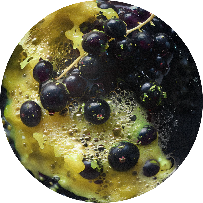 Cassis Pentanone 1% (IPM)