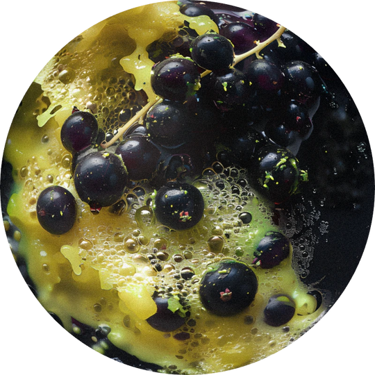 Cassis Pentanone 1% (IPM)