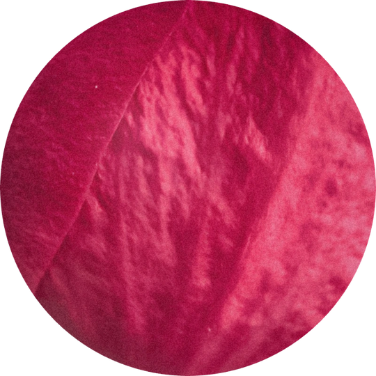 Citronellol 950