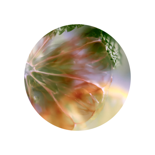 Citronellyl Tiglate