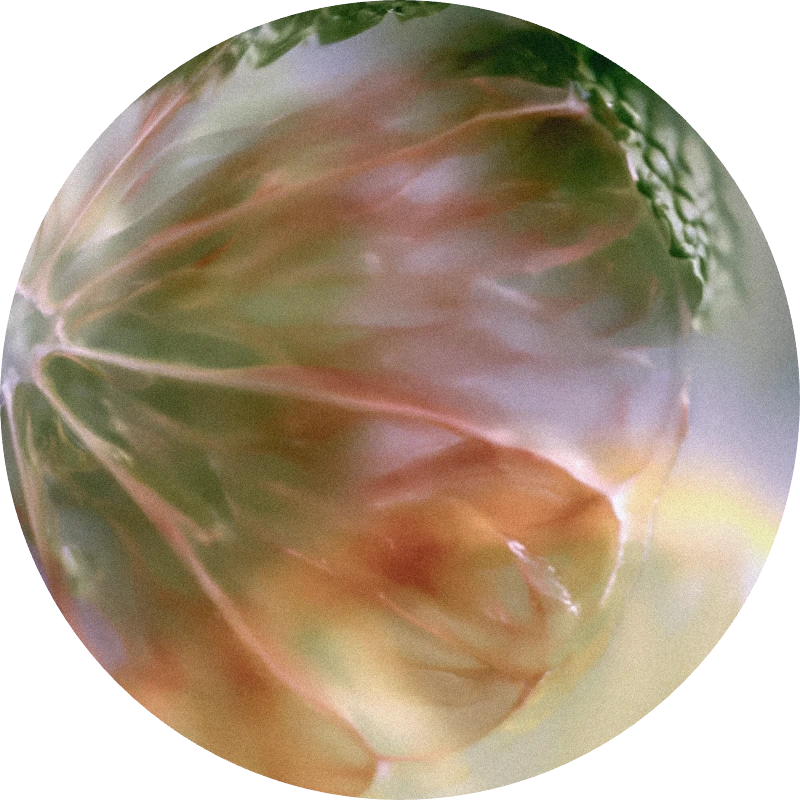 Citronellyl Tiglate