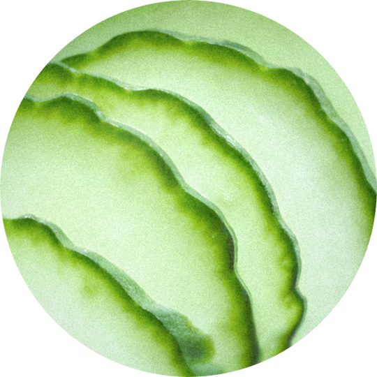 Cucumber Aldehyde (Trans-2-cis-6-Nonadienal) 1 % (DPG)