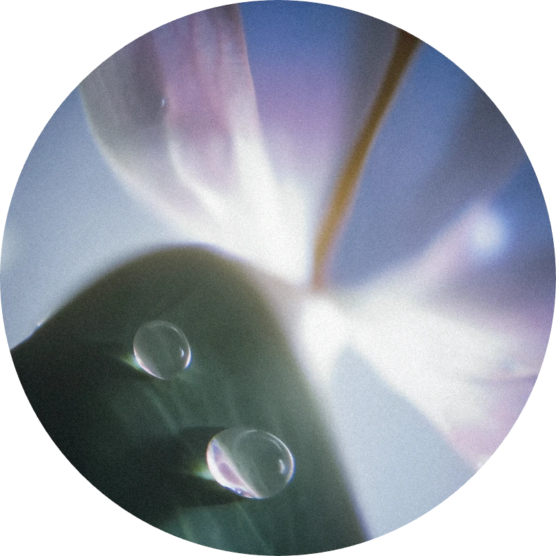 Cyclamen Aldehyde Extra