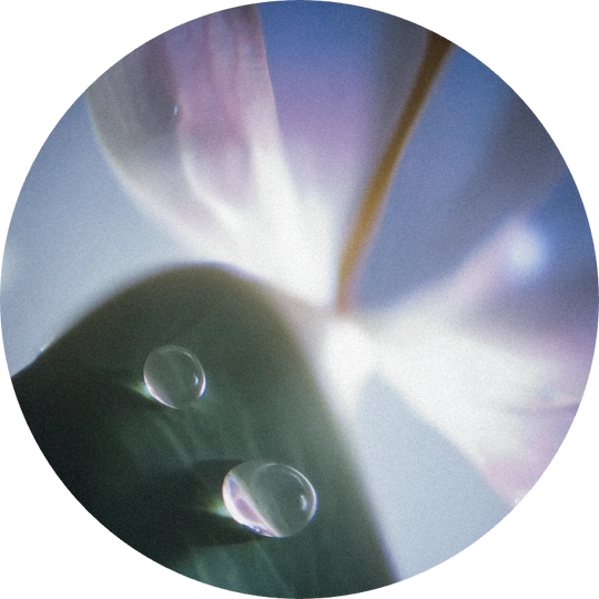 Cyclamen Aldehyde Extra