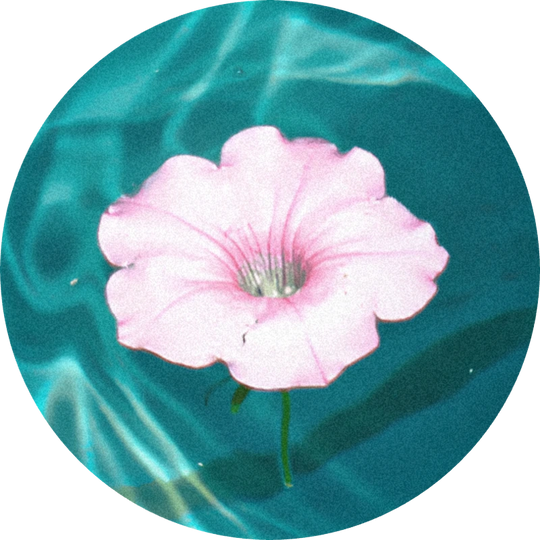 Cyclosia® (Hydroxycitronellal)