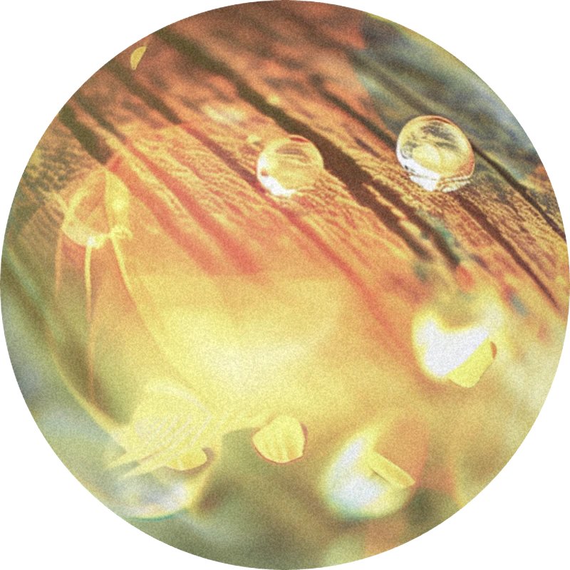 Delta-3-Carene