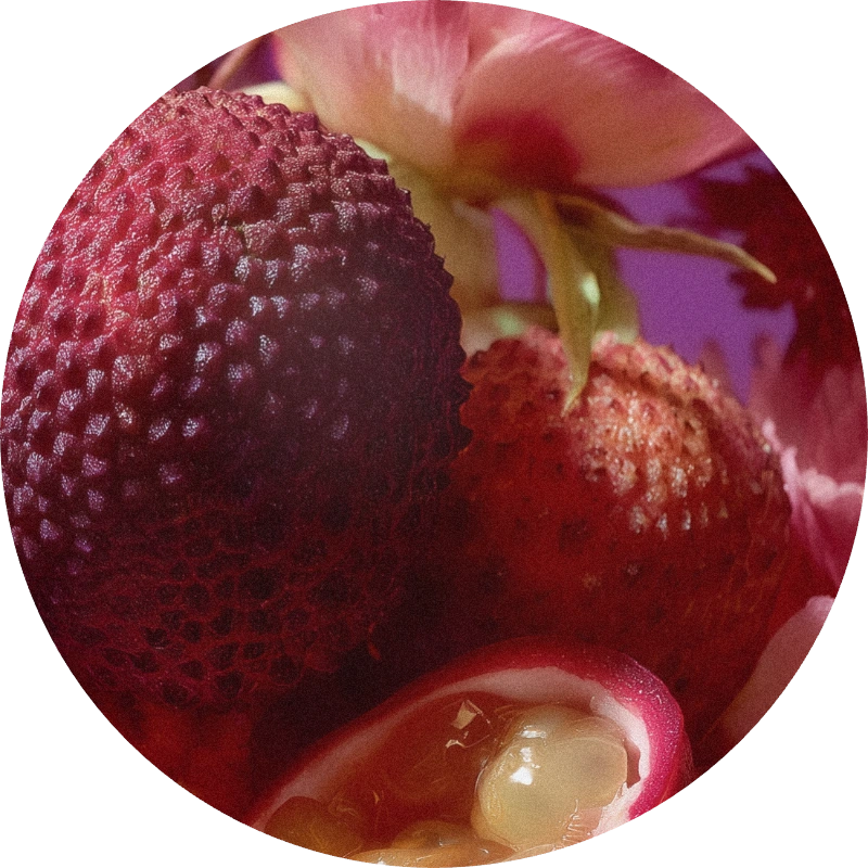 Dewfruit TEC AB 2927R/3
