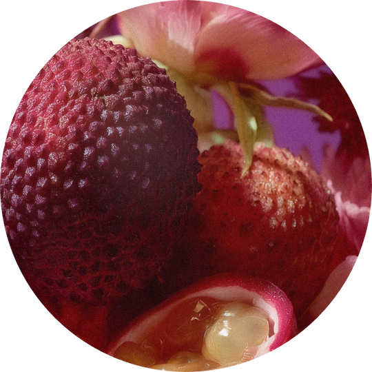 Dewfruit TEC AB 2927R/3