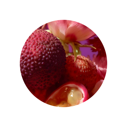 Dewfruit TEC AB 2927R/3