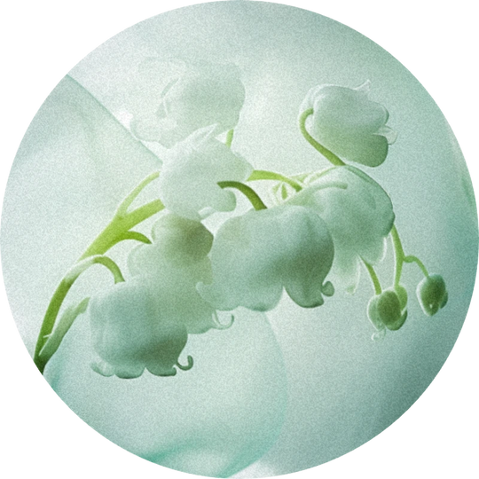 Florol®