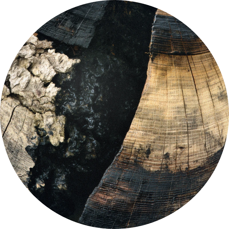 Gaiac Wood Substitute 100% Natural