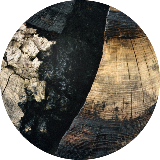 Gaiac Wood Substitute 100% Natural