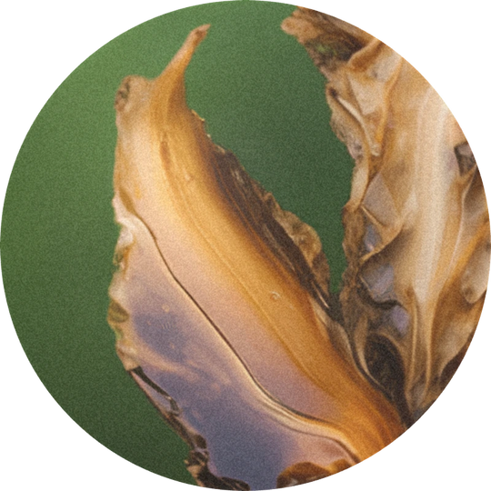 Gamma Terpinene