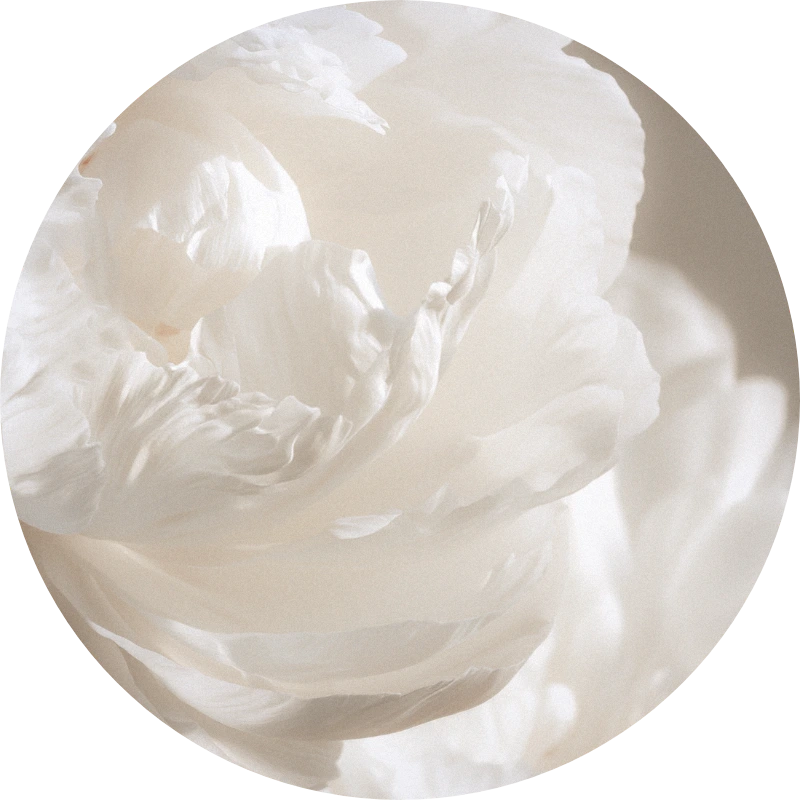 Gardenia Base