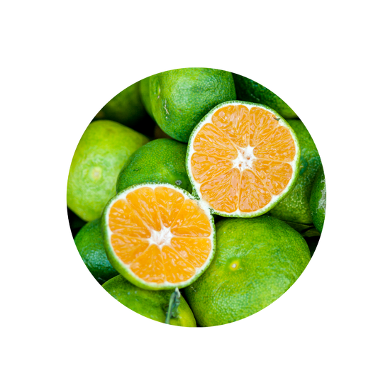 Green Mandarine Oil Cold Pressed
