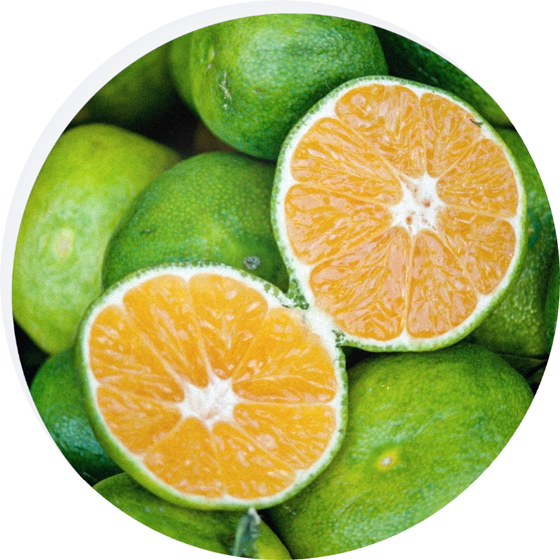 Green Mandarine Oil Cold Pressed
