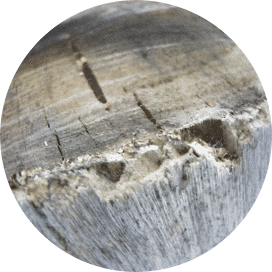 Guaiacwood Oil Crude 50% (ethanol)