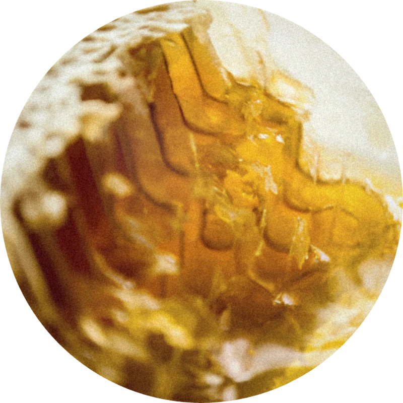 Honey Provence Firabs